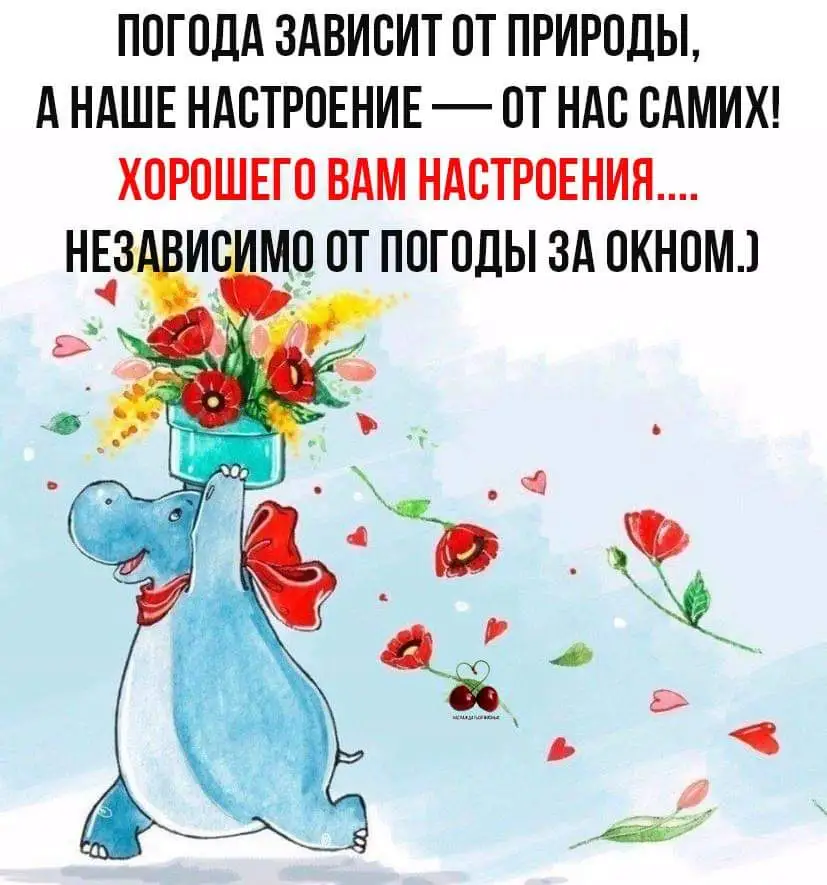 IMG-5caa16b349523d7e48b5d6897161325a-V.webp