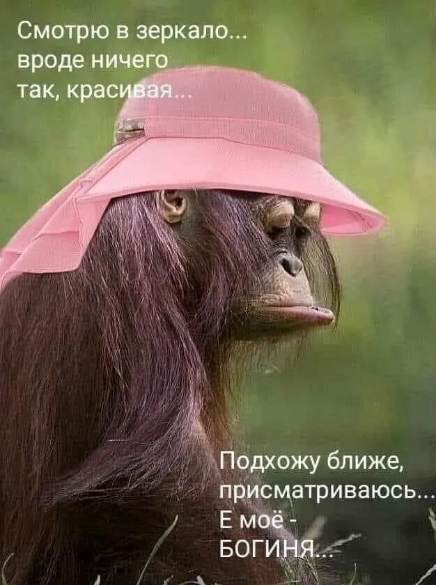 IMG-5ce02e6597ca8ee8ee821f9a5dd042f7-V.webp