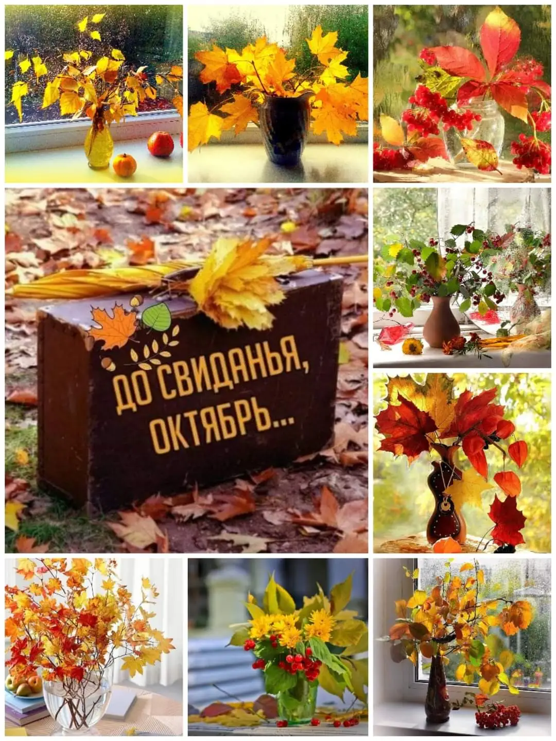 IMG-5d49c27306d4e00d47c6c40776a5a93b-V.webp