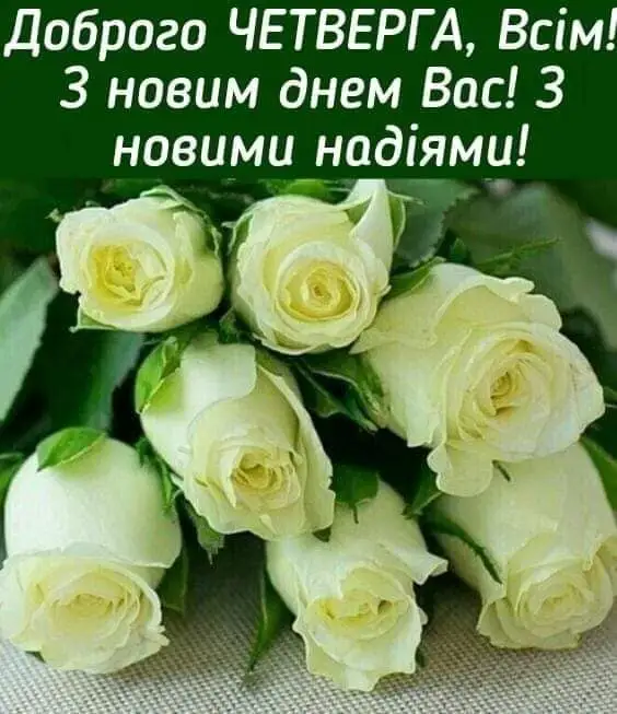 IMG-5d6c14d56fa0556b046817d20f364348-V.webp
