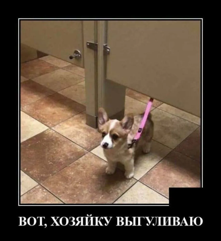 IMG-5de7c0c299b9004bbe2e385cbeb59a25-V.webp