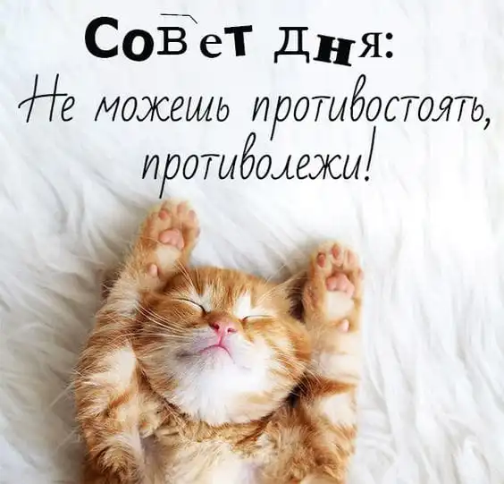 IMG-5ebd553533c958d17518ff39da105917-V.webp