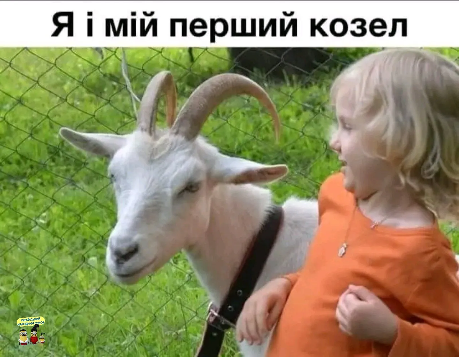 IMG-5ee6c69902c0d732fa3c5ae2daf2944b-V.webp