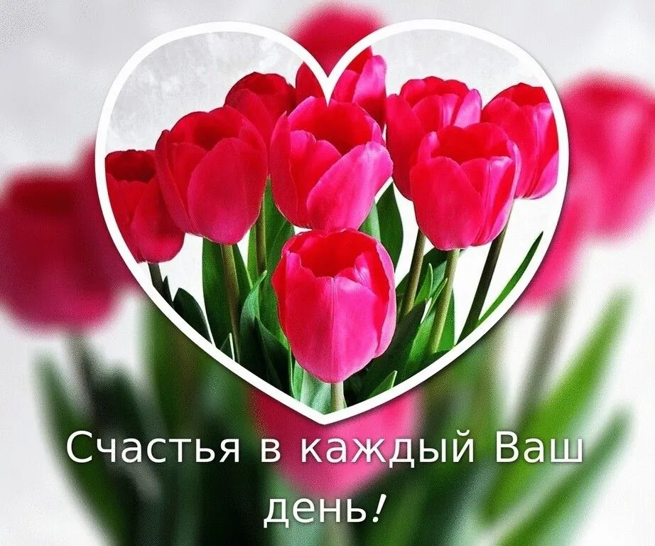 IMG-5ef02066009a2eae2a10505a342148b2-V.webp