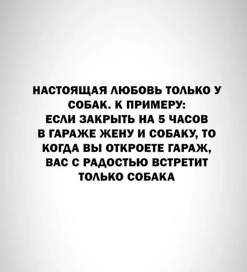 IMG-5fa0702141bd281696d545d0d788ae67-V.webp