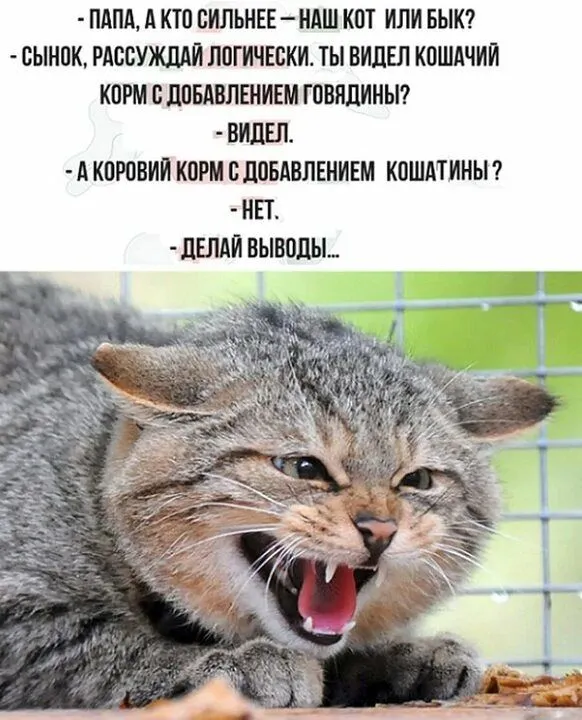 IMG-604081c480c19a42aafdf4b48aa0f51c-V.webp