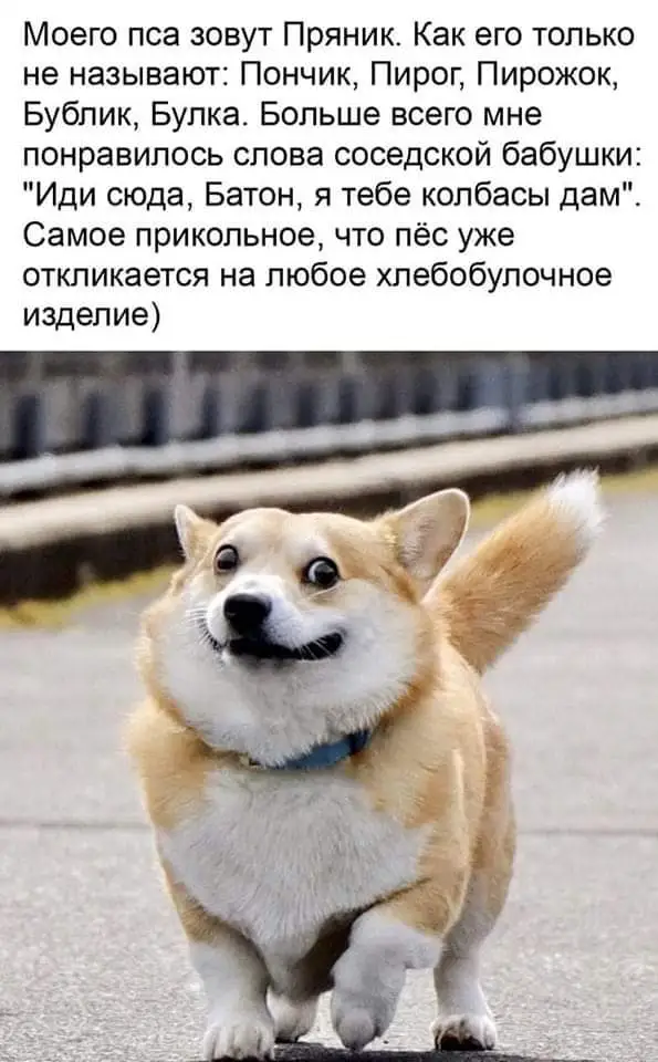IMG-6053af73cfdf408a05db0df2a32f20d9-V.webp