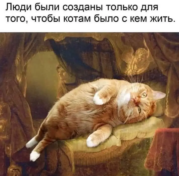IMG-60b5b67fdfe1c1eec418262e505d4e97-V.webp