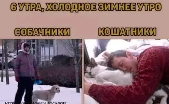 IMG-60bf9be615c7e7b0f2d7907d231a8768-V.webp