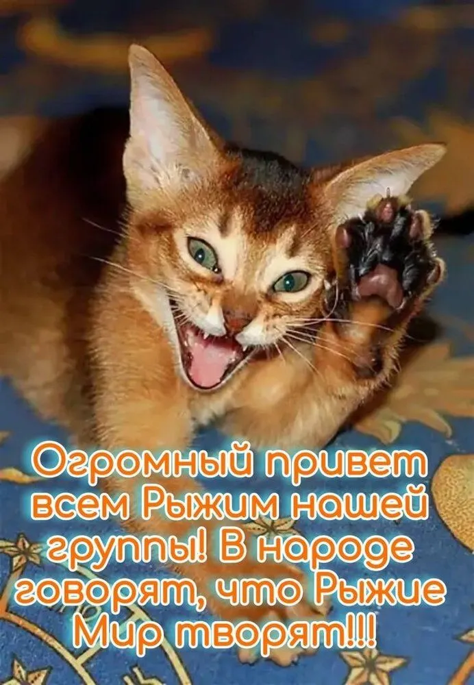 IMG-612bdb1c050d69063064175d28921e51-V.webp