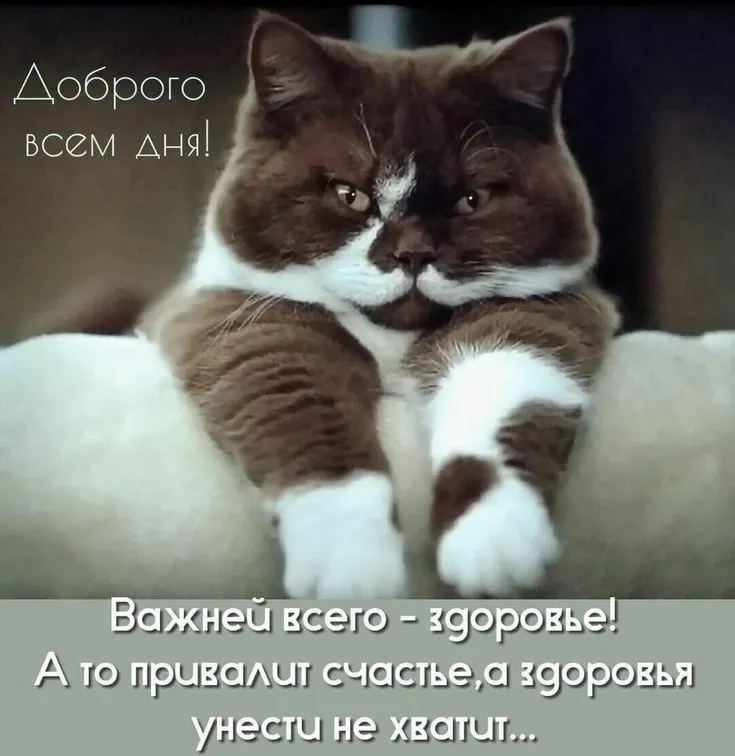 IMG-61954c19b7a5922b8fd41e1dcc5b574a-V.webp