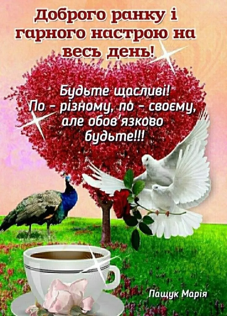 IMG-624bc2a04ea27c1868eaa5afa8cfc793-V.webp
