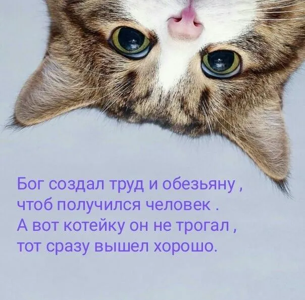 IMG-627c07f250c6ab6580cdc6f9c1947b96-V.webp