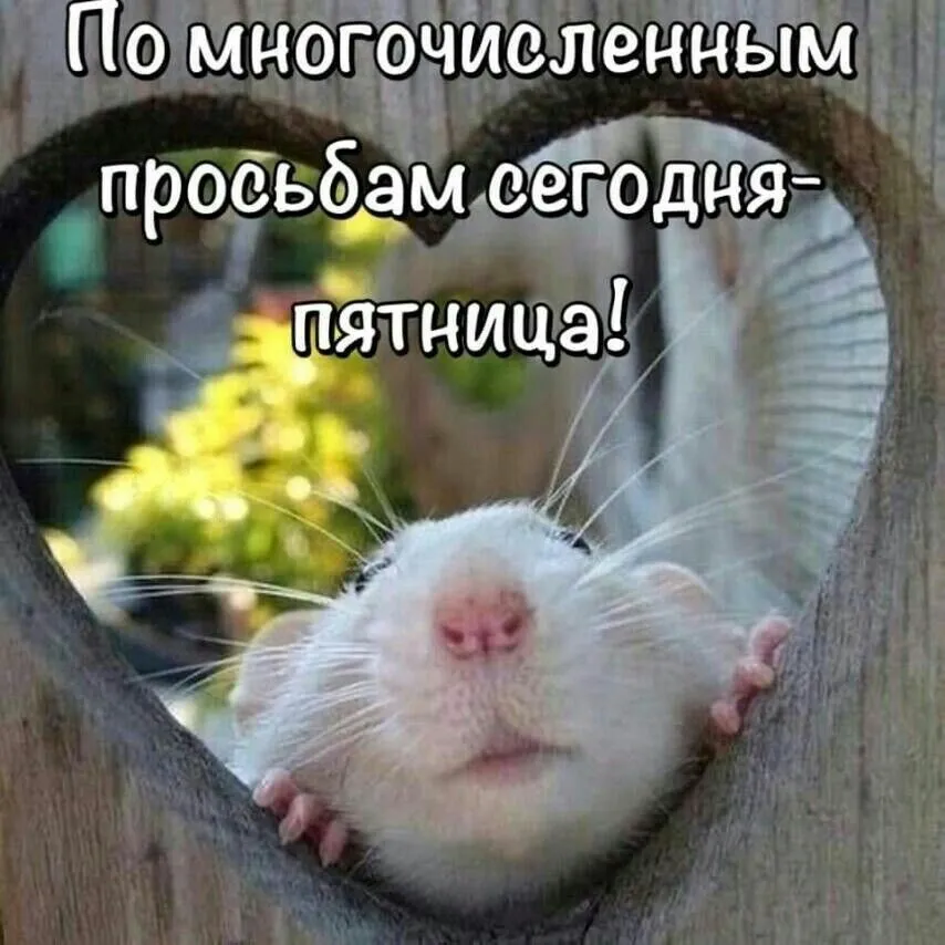 IMG-62fc4c824d7b430b27c8114df6f0aefd-V.webp