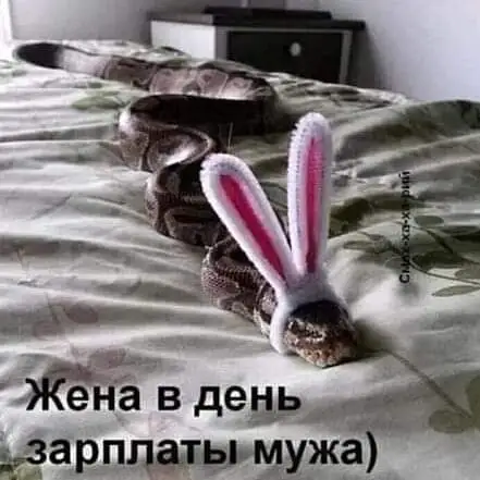IMG-63cb4f02d35f203db38c64ef9c924840-V.webp
