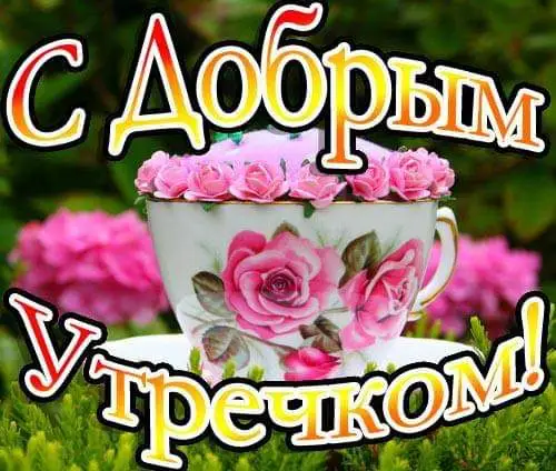 IMG-6422ae1767f7517186ec94e2e3318e96-V.webp