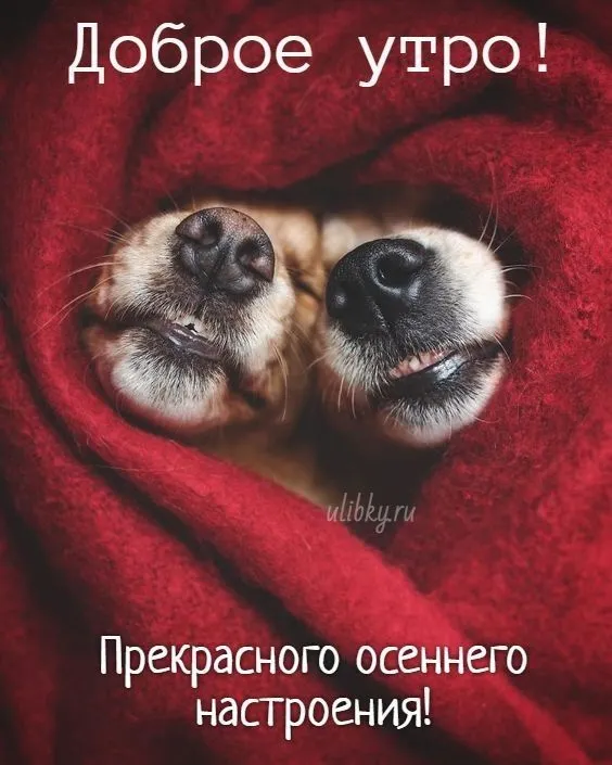 IMG-646757c1e63b8296ad7cd2dd0b333e85-V.webp