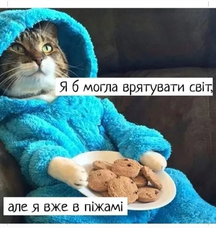 IMG-64d3b7205bc6c74d0d6d8a21a3902435-V.webp
