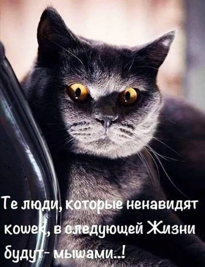 IMG-66b3ec18a54d07580237e7c7f61c53bb-V.webp
