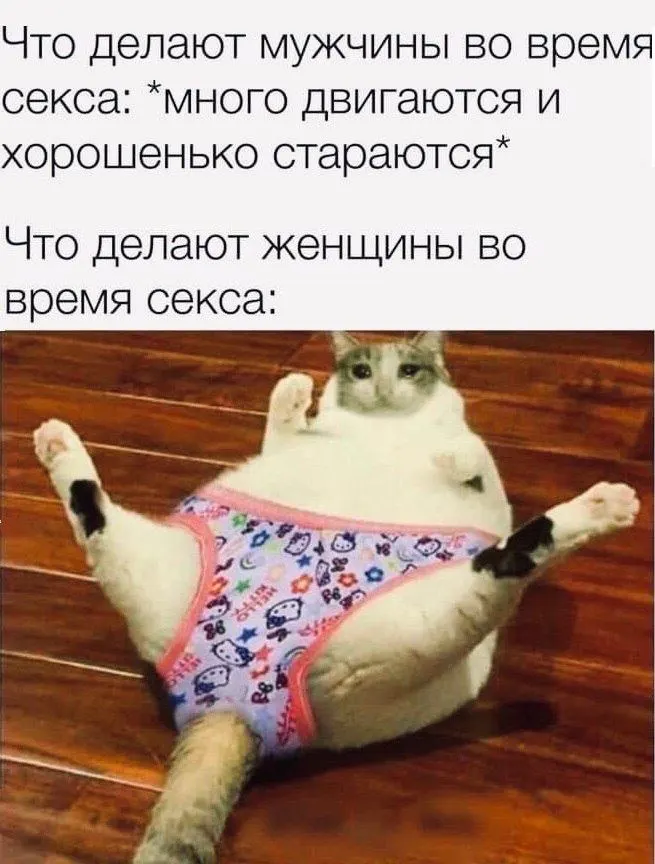 IMG-686db859e8c68c282236206e2f9d78d3-V.webp
