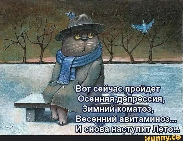 IMG-68ece7666aaf004f817b7abf47d5c9da-V.webp
