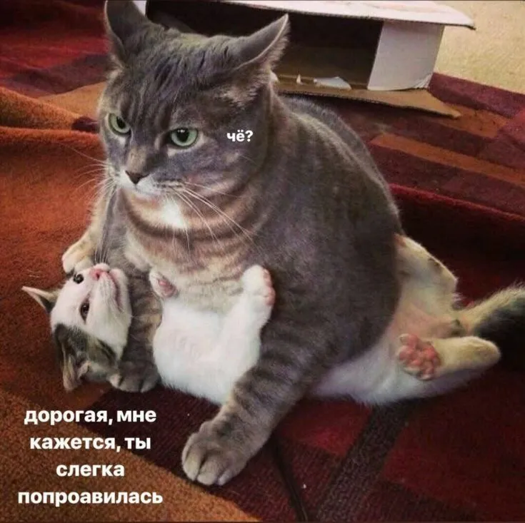 IMG-695325e3ae77ee96d99a9dc4259dbf79-V.webp