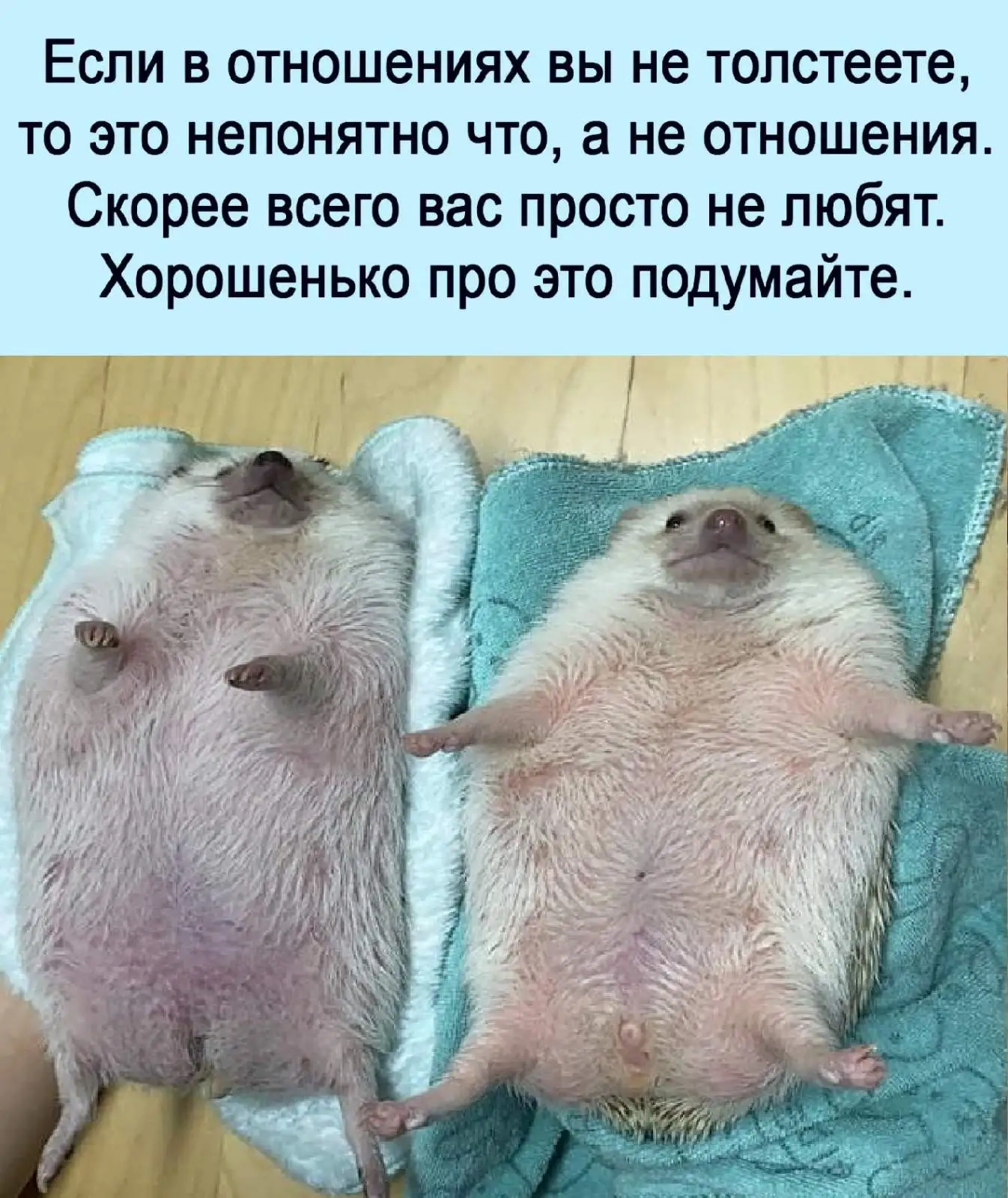 IMG-698c4a6a0e0892e5727fbccc68f60d66-V.webp