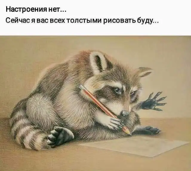IMG-69b4767a7e8c096abd94e7747bdece71-V.webp
