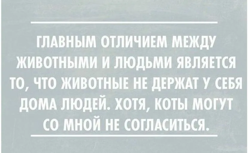 IMG-6a3fa01bedf116cb9334fc65e5ec09cb-V.jpg