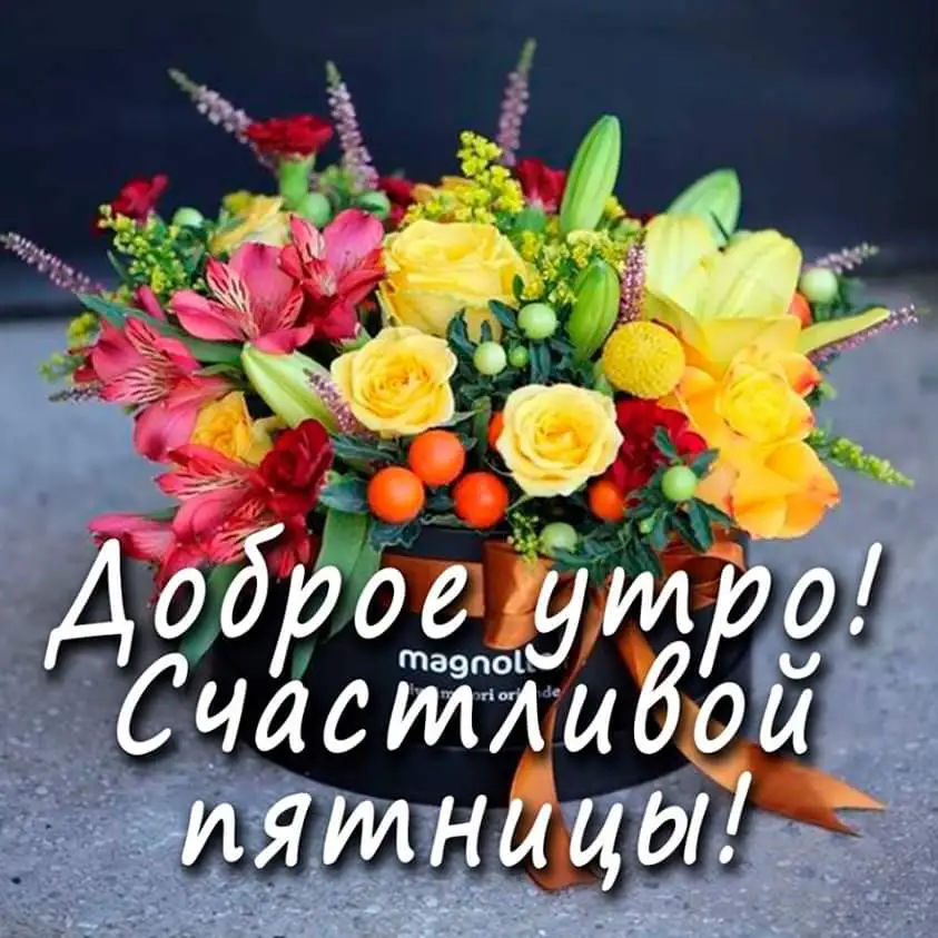 IMG-6a980fdefd16fc2e9d4b55a43ccb7b40-V.webp