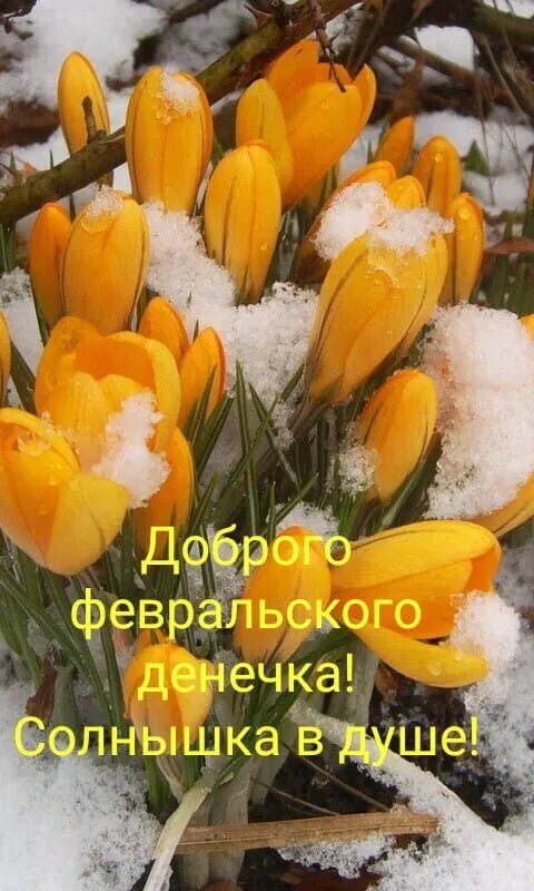IMG-6baabc47584505a857739840b569815f-V.webp