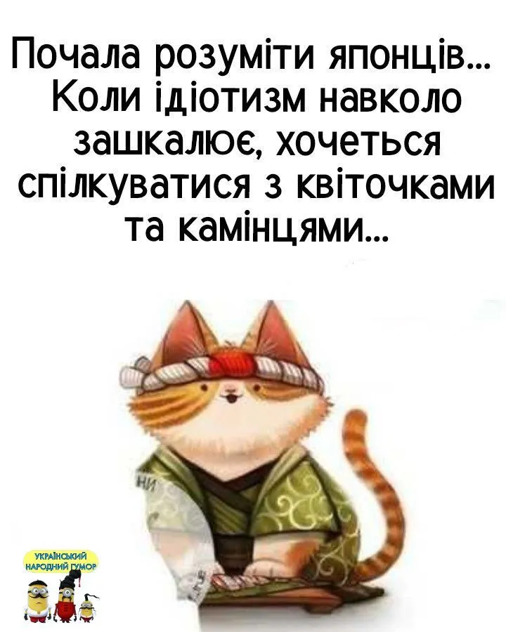 IMG-6cc8a2422c073a158ad33083af27ff64-V.webp