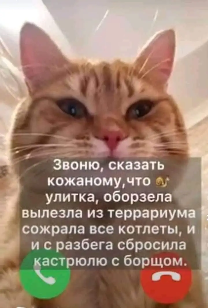 IMG-6e1f13a2764b49a59ee353e893be71d7-V.webp