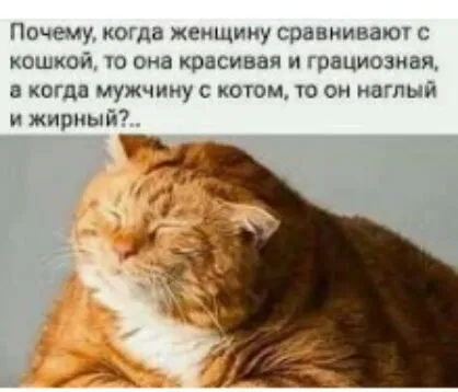 IMG-6e77ba8b6baf229f36d0a4dcf7cf4061-V.webp