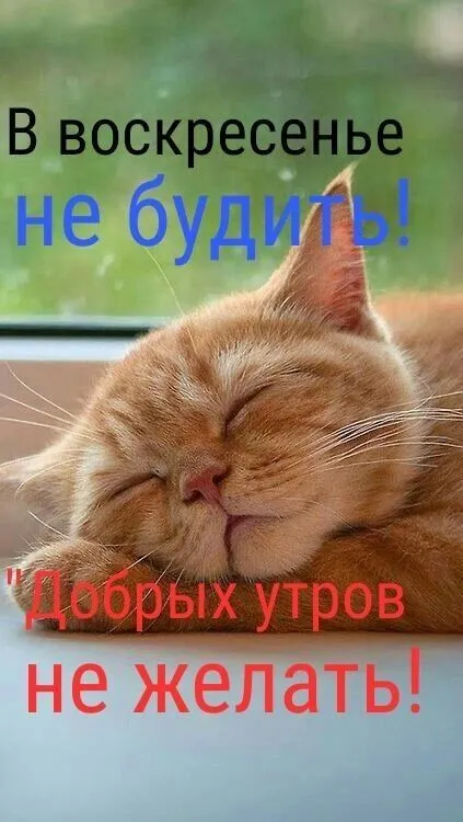 IMG-6edabe48f68b122cbc155d7b286c29f7-V.webp