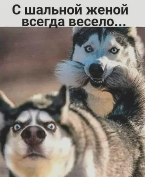IMG-6fd2e32a57ce78e0c7d67811ddbf5a25-V.webp