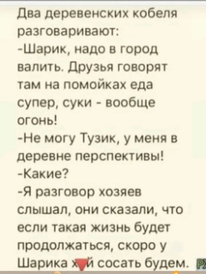 IMG-6fe7b6fd8a526a8fb5ba2158081a9e08-V.webp