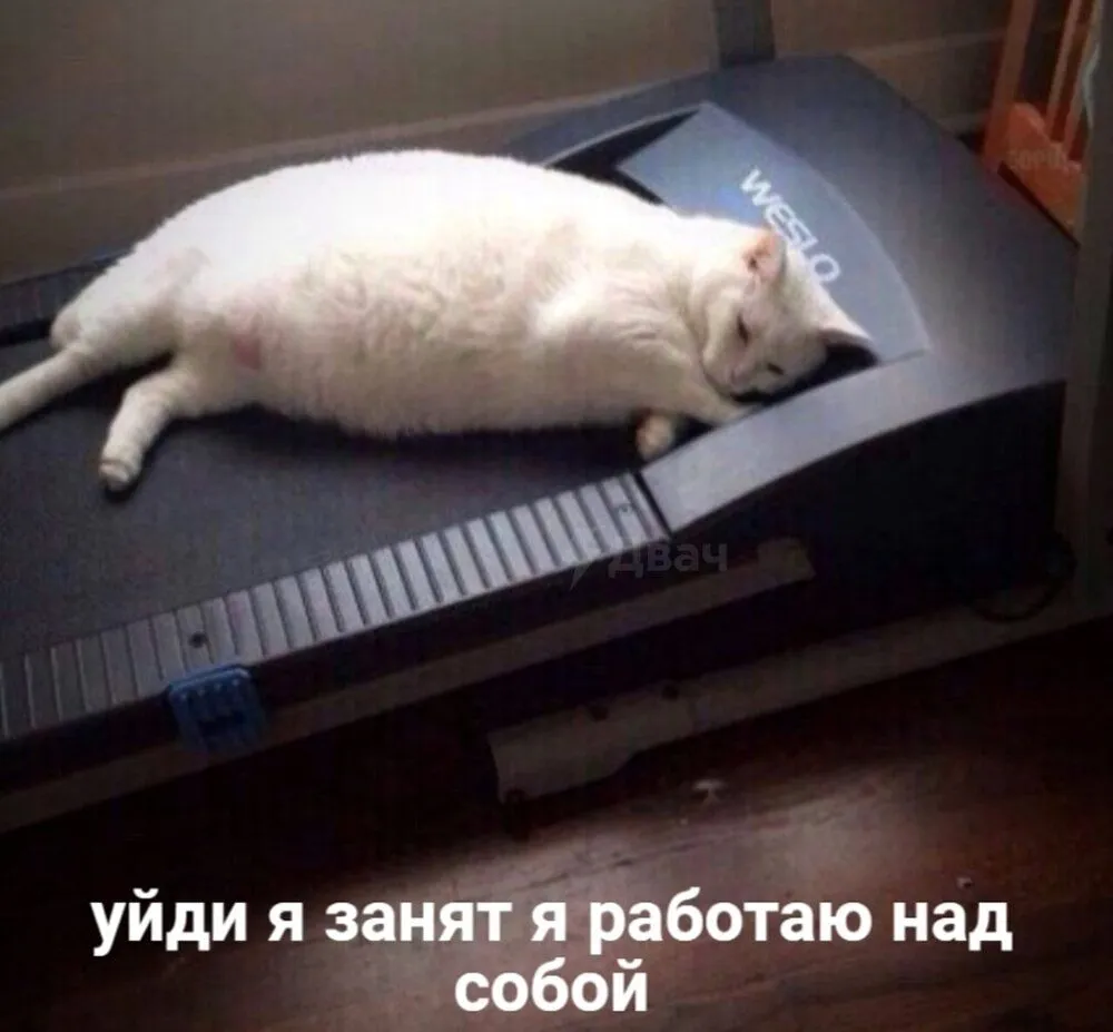 IMG-6ff133f1e23cbd3931586e0451a07e6a-V.webp