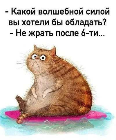IMG-701cfcecdcc1f11561a67e073c1d078b-V.webp