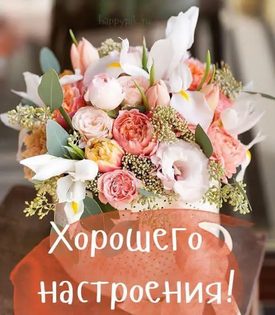 IMG-71d429325a566e59948f9effe39e57c0-V.webp