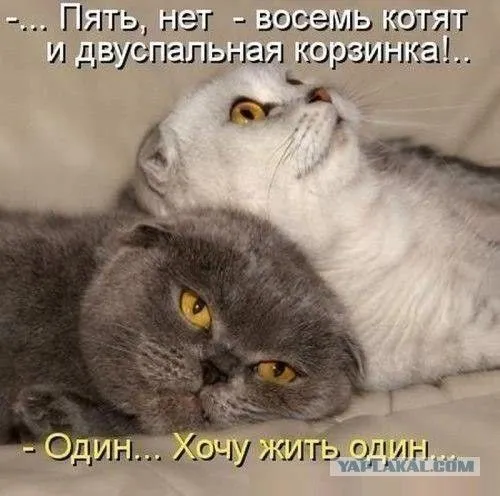 IMG-739a4d38e3495b06c715440f93964e83-V.webp