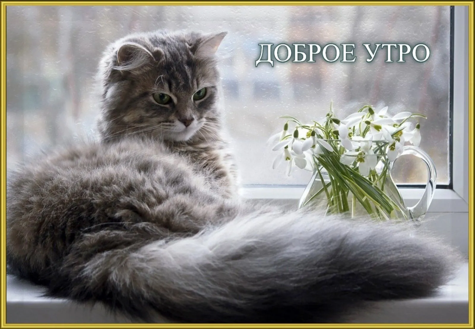 IMG-74222dca504ad3a3c99d67115b3b5ad7-V.webp