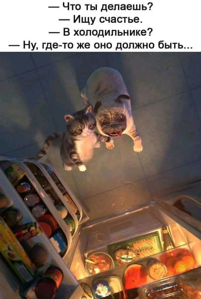 IMG-74b82cf0b84d9275854383c0b22e0bf2-V.webp