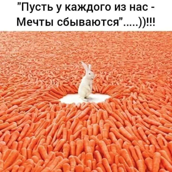 IMG-74c989fc4dac2504f35a57dfa2aad57e-V.webp