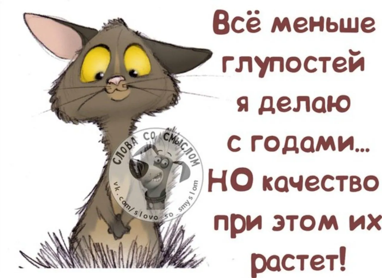 IMG-74d6cda9c85b42e68a7bf10364d973dd-V.webp