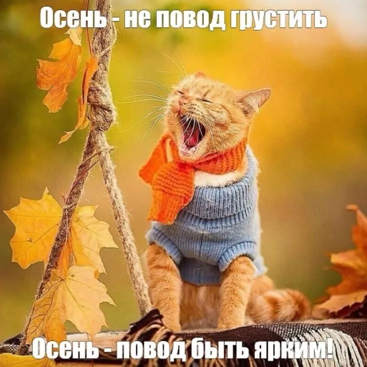 IMG-76b5a6d9c9c90fc810438050d9622bb7-V.webp
