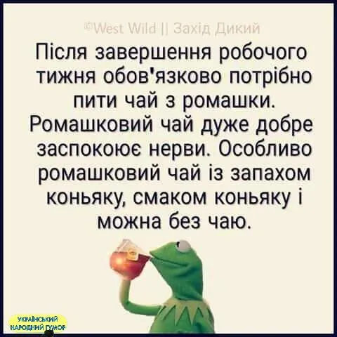 IMG-773fd55c4d6c90883a9bbb3decca2392-V.webp