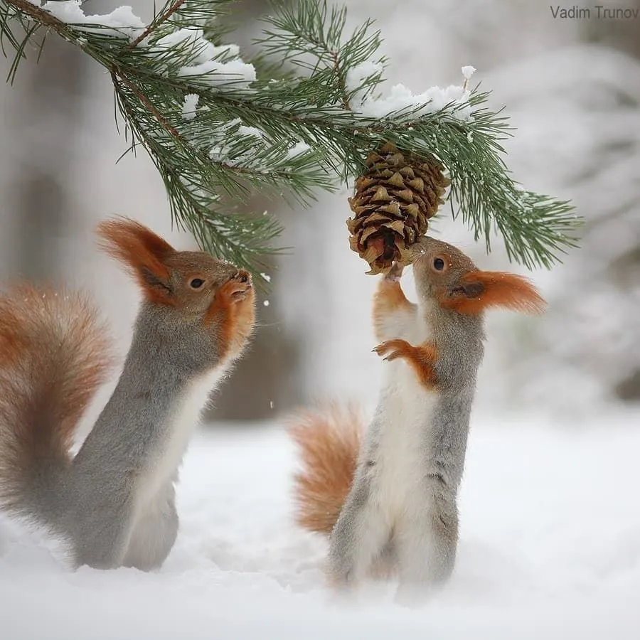 IMG-792c0d00b4ba777f1a15f8dd4b1deb78-V.webp