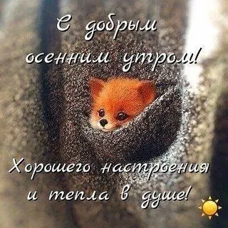 IMG-793779ee2ee9c07c961944a978c146c2-V.webp