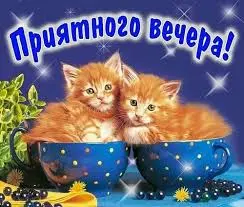 IMG-7c27223a3f2c304810778c037076291a-V.webp